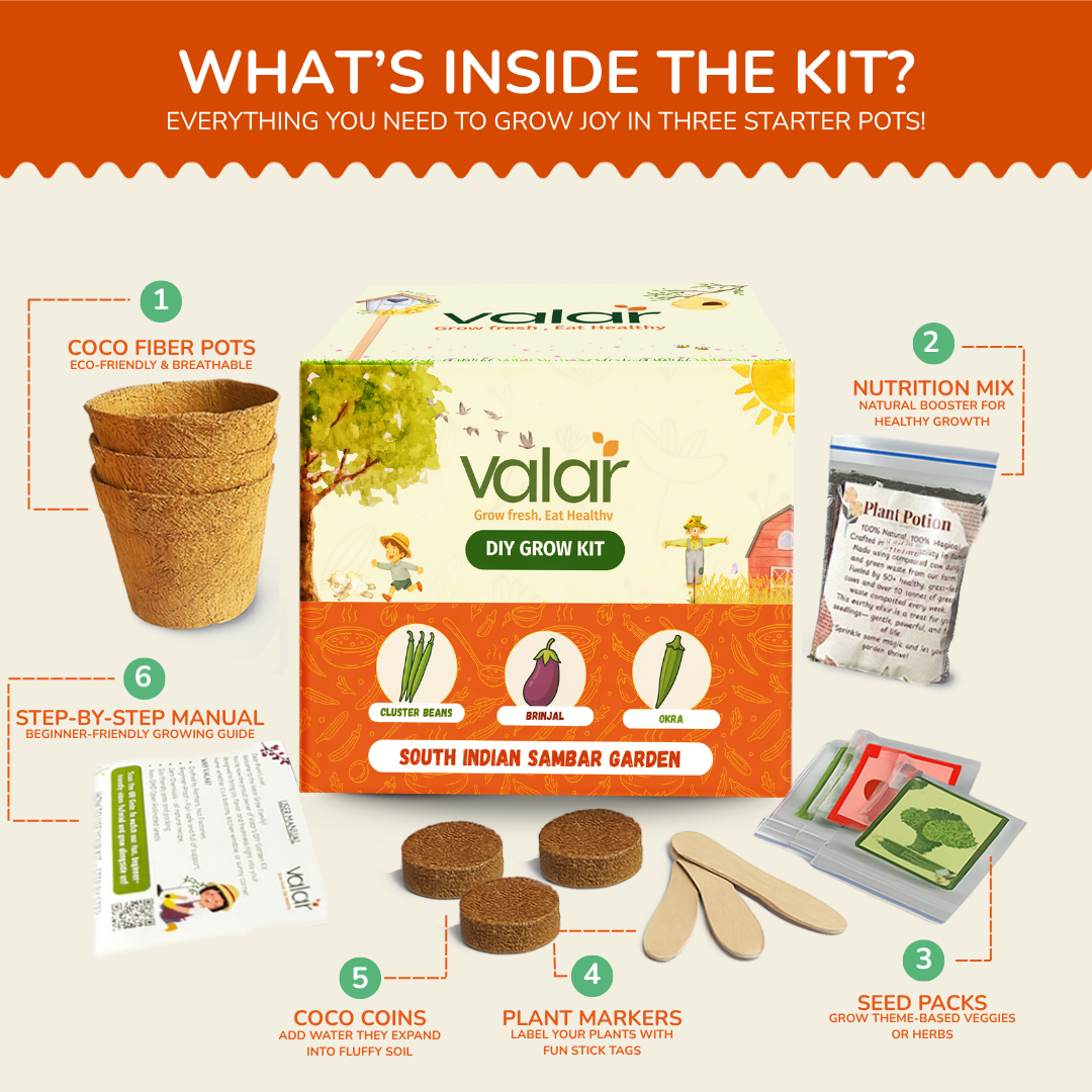 The South Indian Sambar Gift Kit