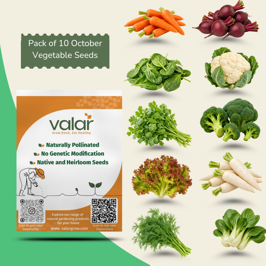 Pack of 10 October Vegetable Seeds