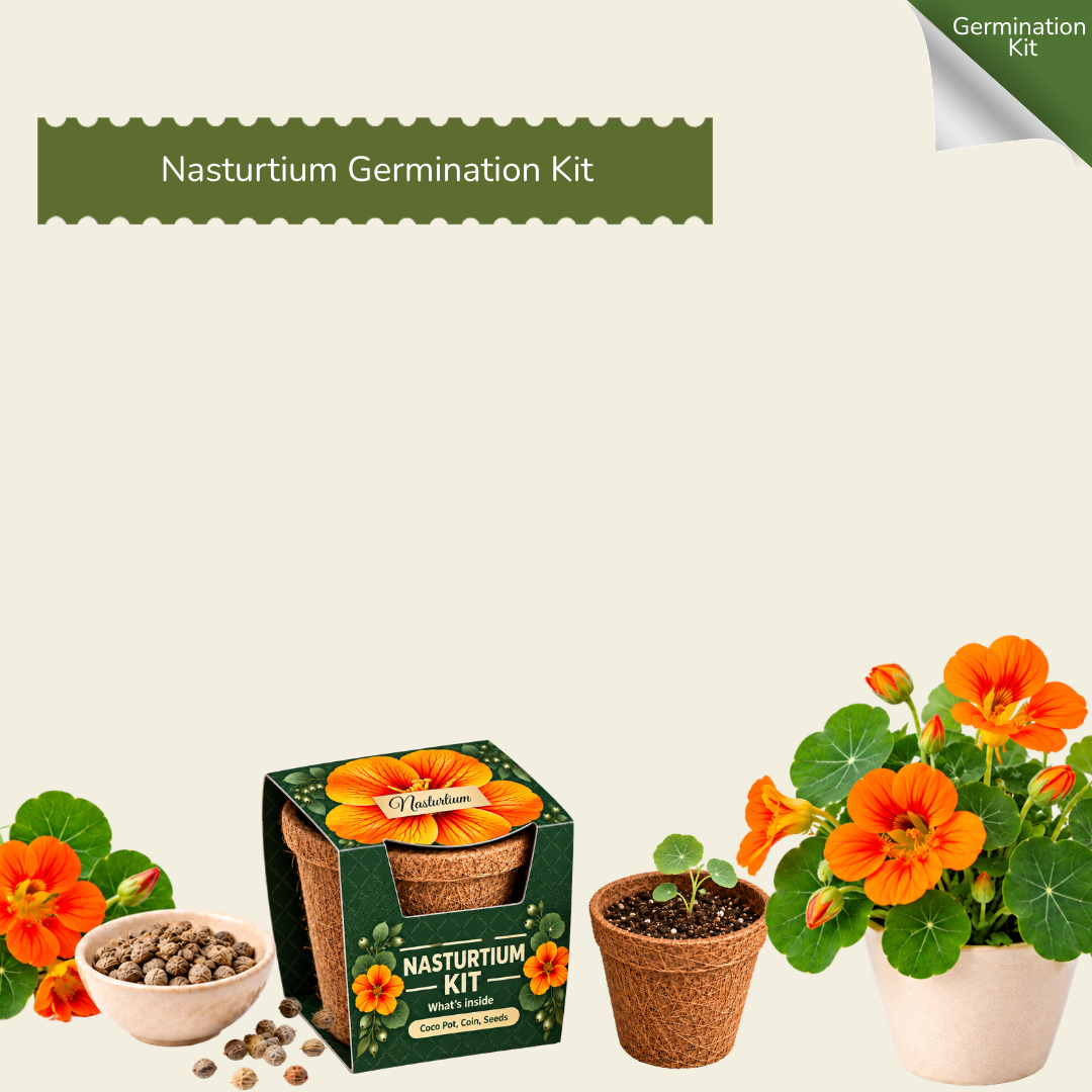 Nastrutium Seed Germination Kit | Eco-Friendly Corporate & Event Gifting Kit | Customisable