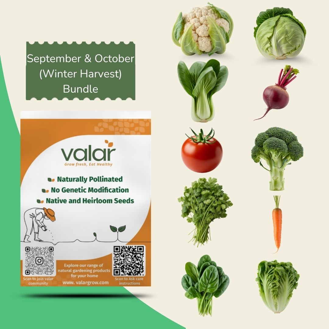 Pack of 10 September & October Seeds (Winter Harvest)