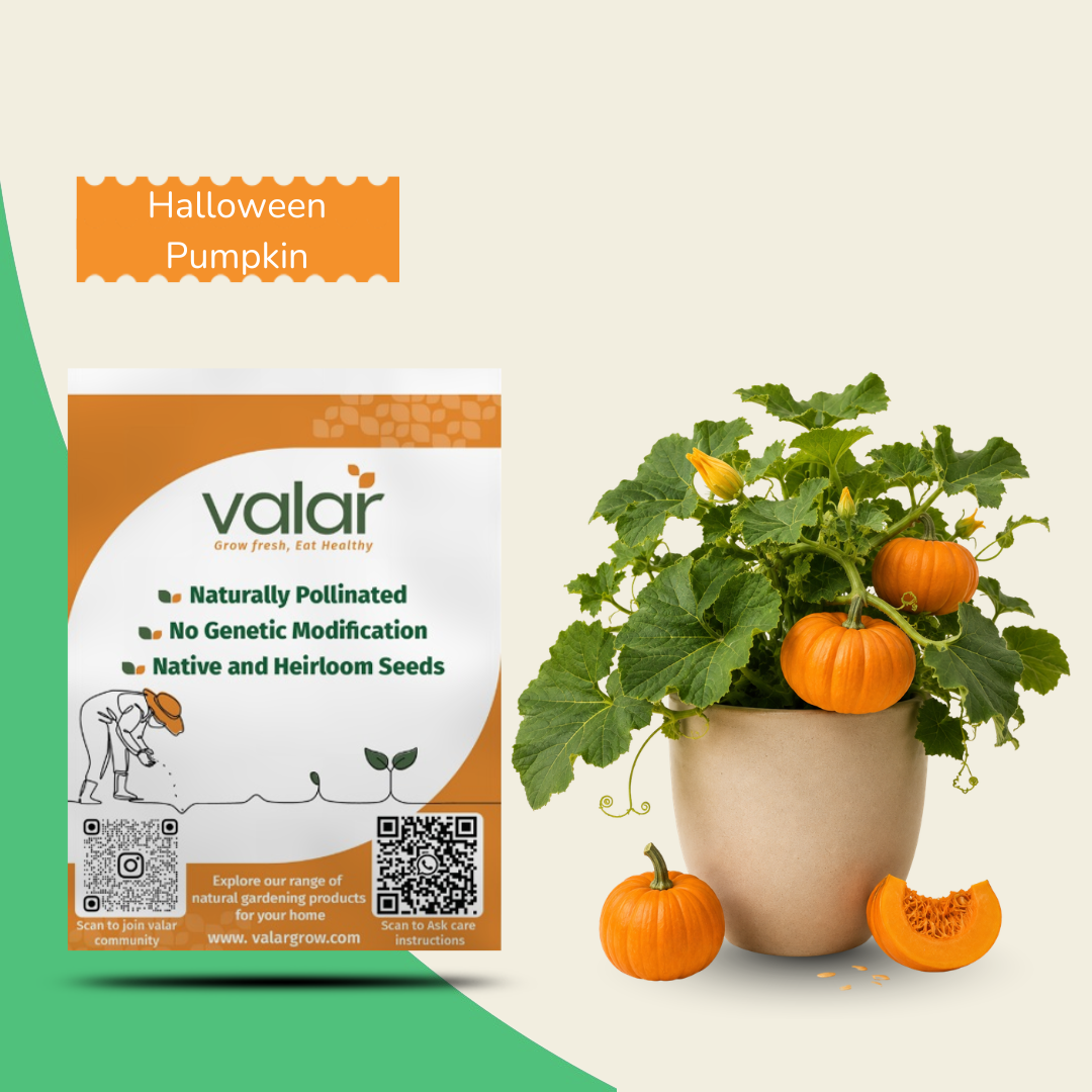 Organic Halloween Pumpkin Seeds