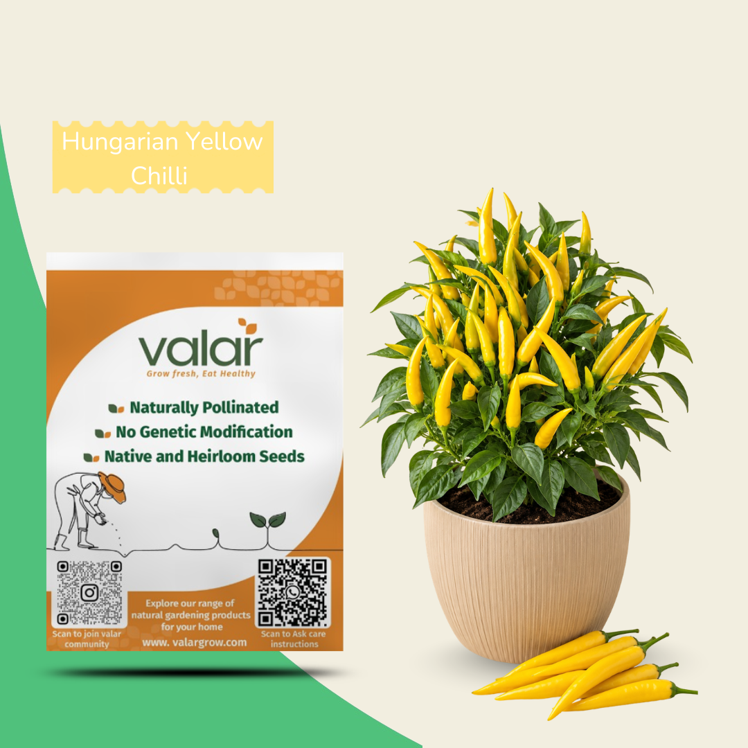 Organic Hungaraian Yellow Chilli Seeds