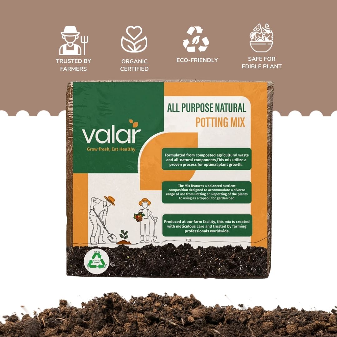 Organic Potting Soil 1 kg (Makes 4Kgs/5 litres)