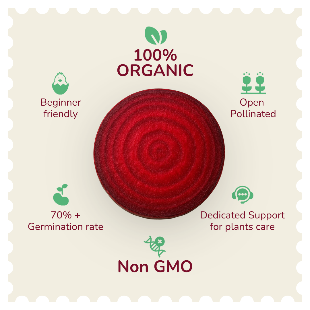 Organic Beetroot Seeds