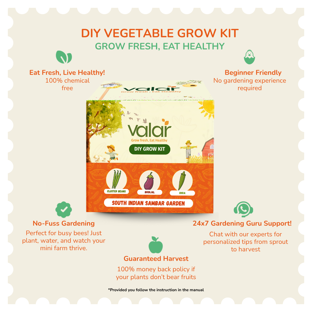 The South Indian Sambar Gift Kit