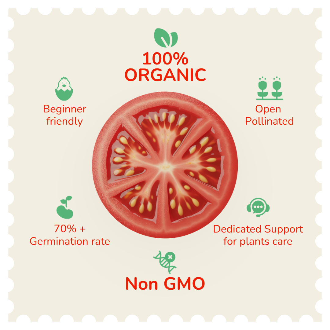 organic non gmo seeds and plants Valar Tomato Seeds – Non‑GMO| Open‑Pollinated