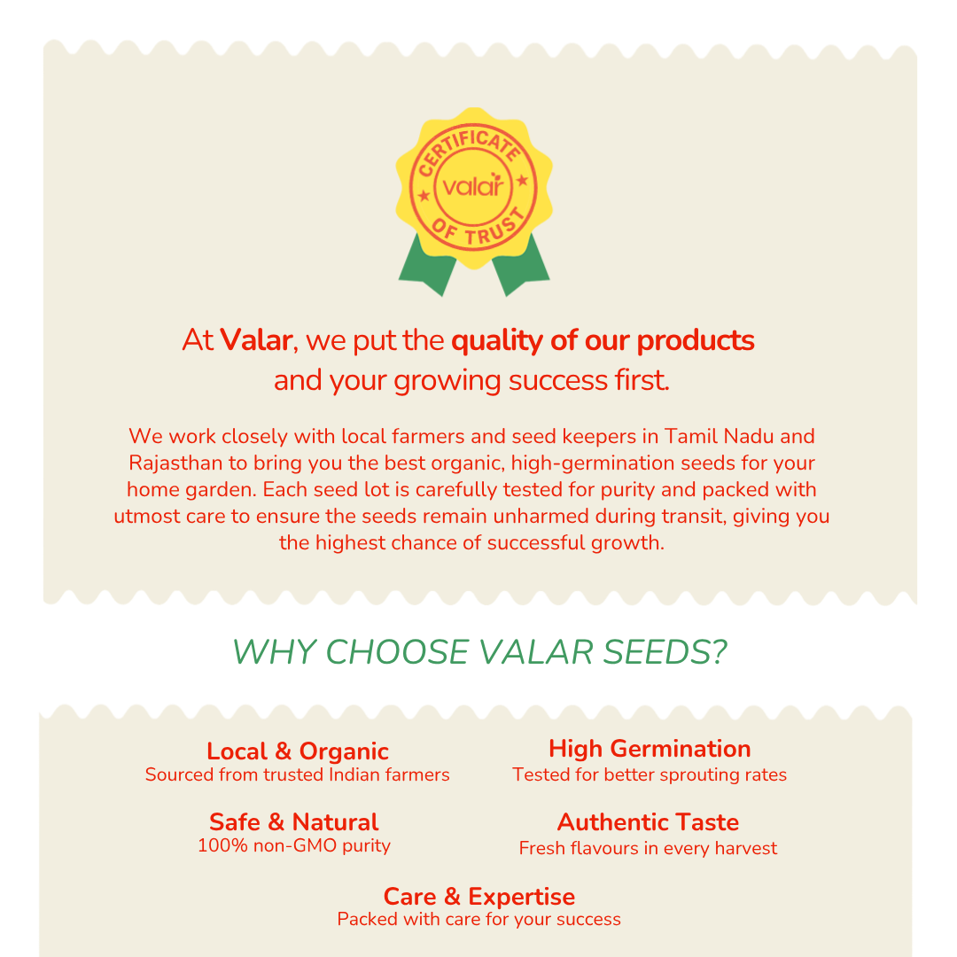 Amaryllis Mixed Lily Bulbs [Pack of 5]