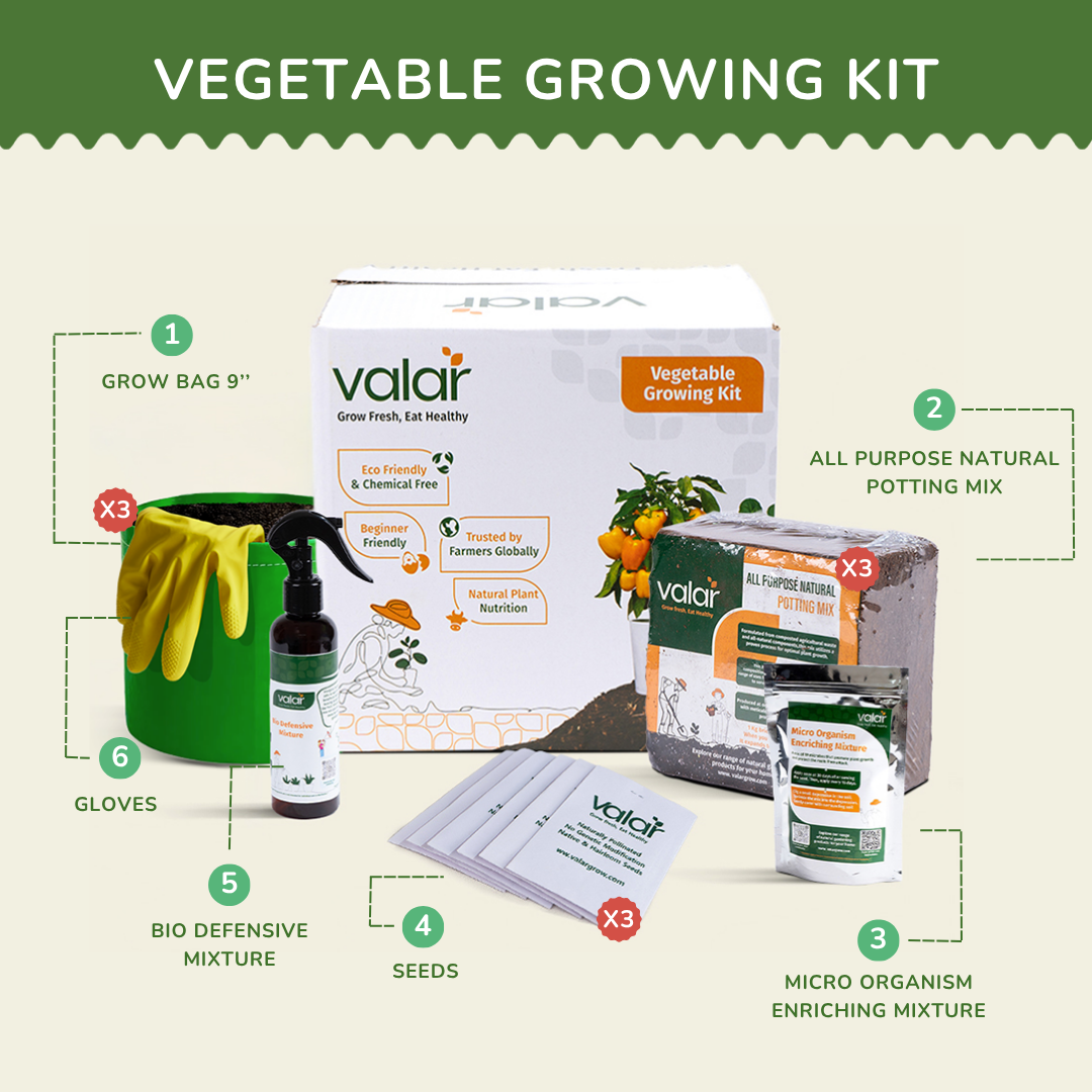 🌿The Colorful Salad Bowl Kit
