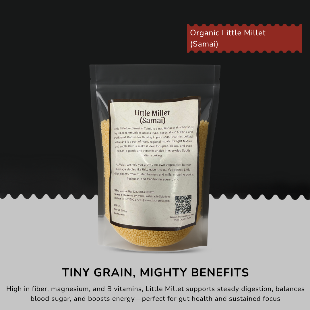 🌾 Valar Samai (Little Millet) – 500g | Ancient Grain Superfood | High-Fiber, Gluten-Free, Diabetic-Friendly Millet