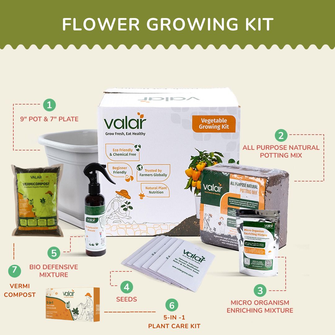 DIY Cosmos Mixed Grow Kit