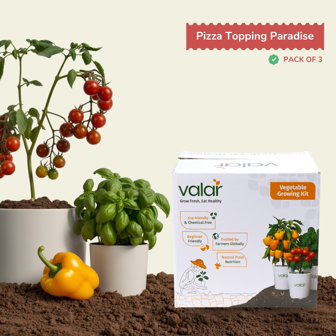 🌿 The Pizza Topping Paradise Growing Kit