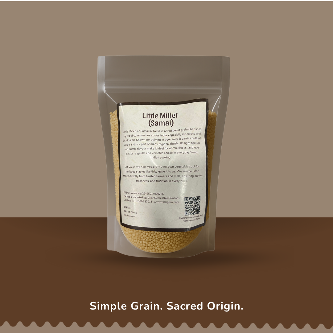 🌾 Valar Samai (Little Millet) – 500g | Ancient Grain Superfood | High-Fiber, Gluten-Free, Diabetic-Friendly Millet