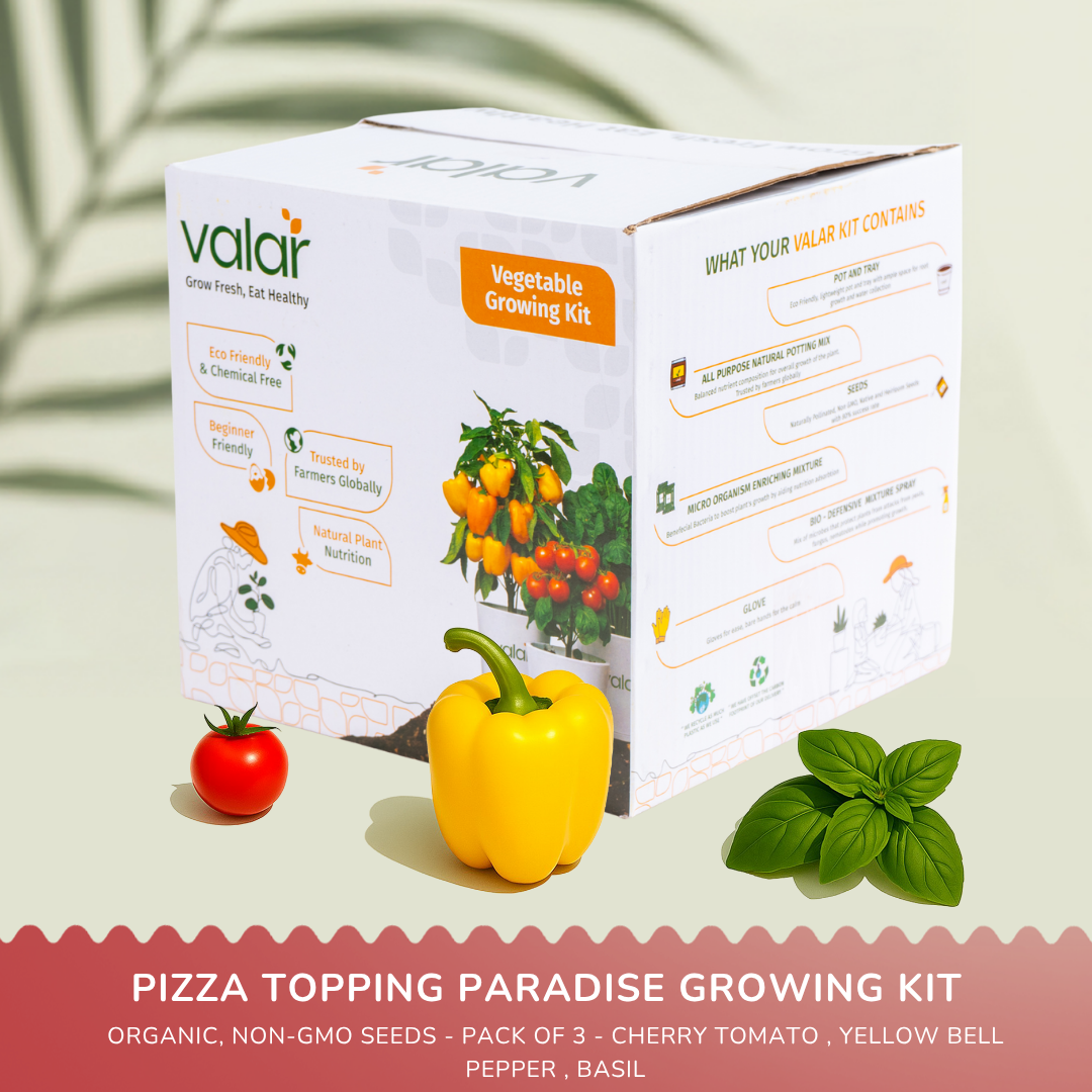 🌿 The Pizza Topping Paradise Growing Kit