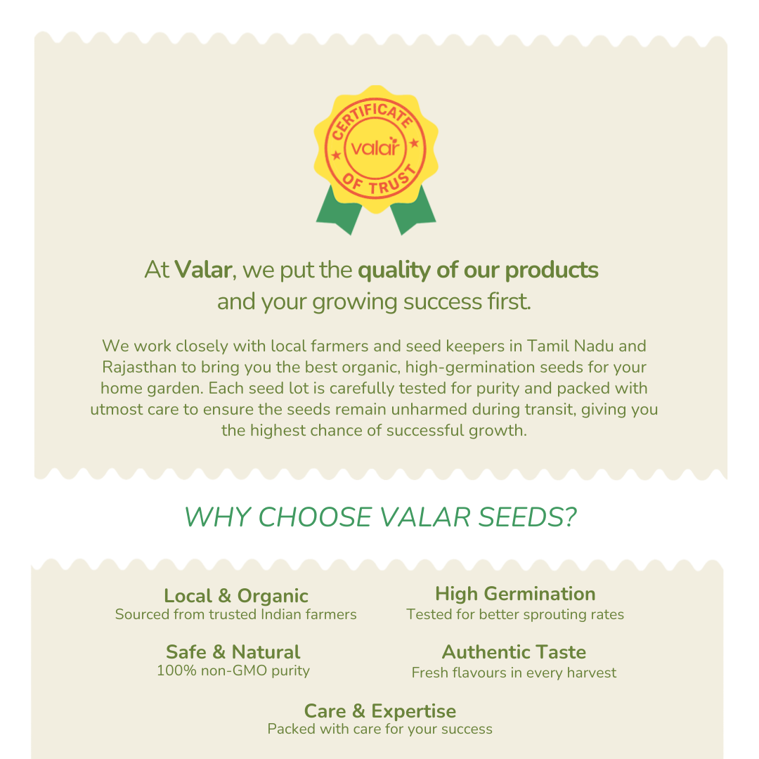 Heirloom San Marzano Tomato Seeds (Italian - Less acidic)