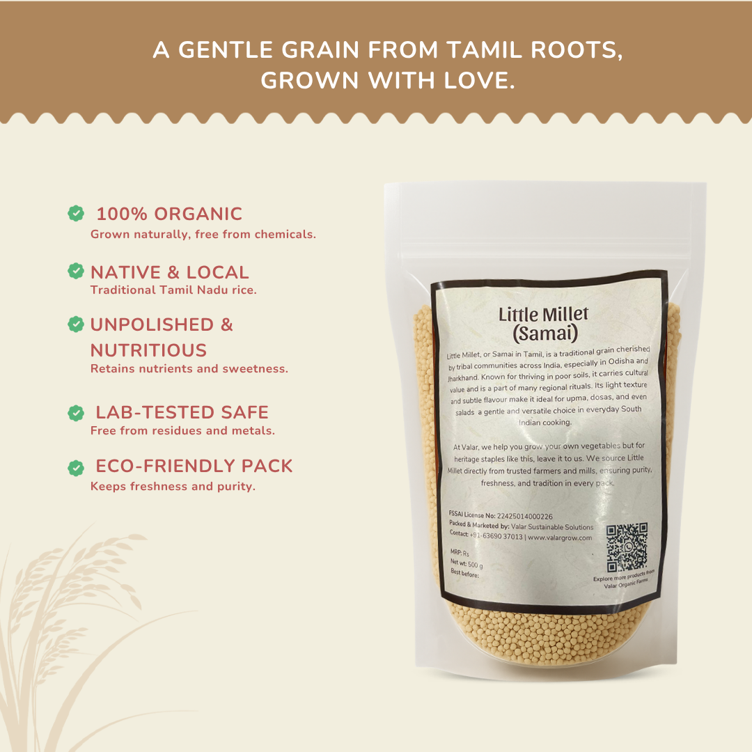 🌾 Valar Samai (Little Millet) – 500g | Ancient Grain Superfood | High-Fiber, Gluten-Free, Diabetic-Friendly Millet