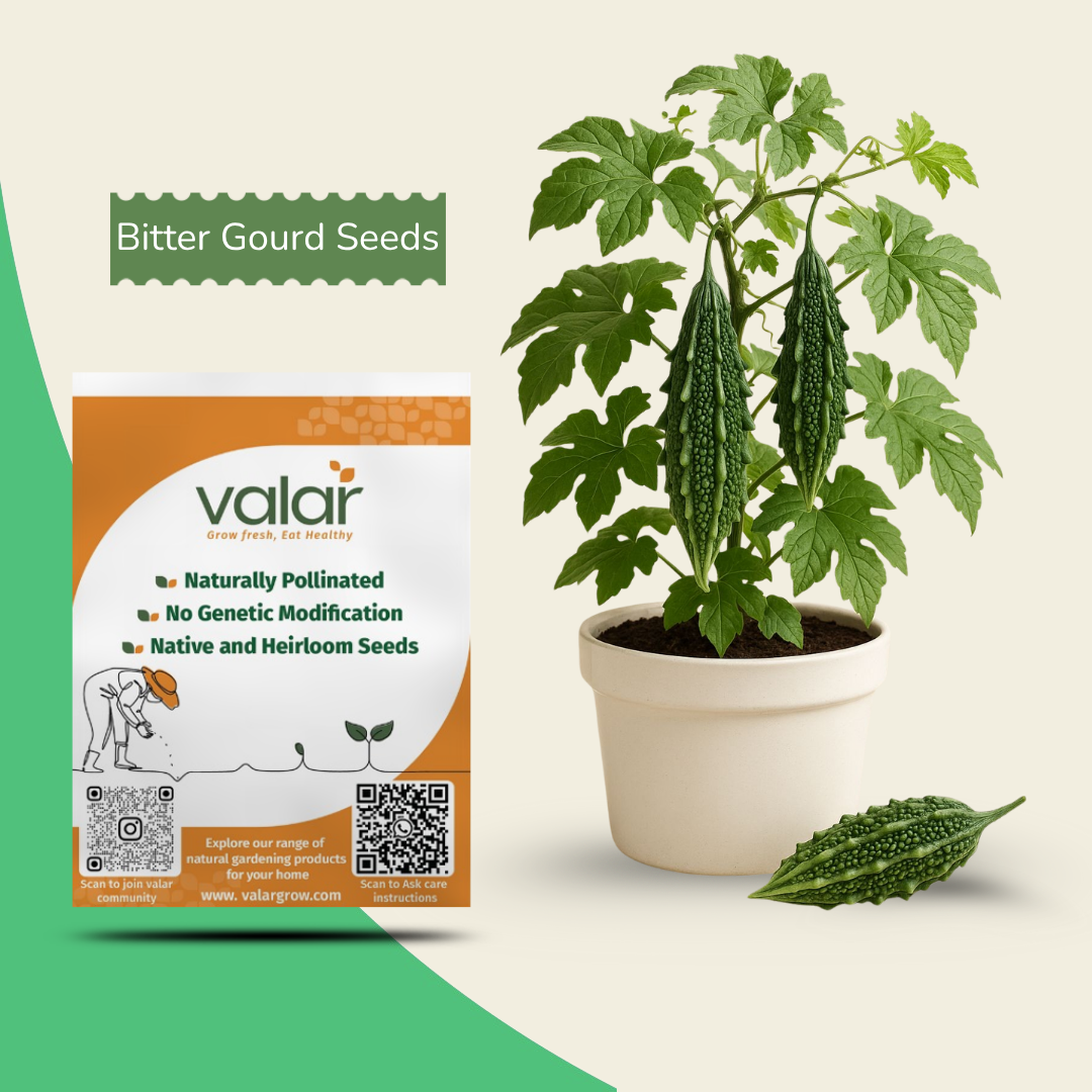 Organic Bitter Gourd Seeds