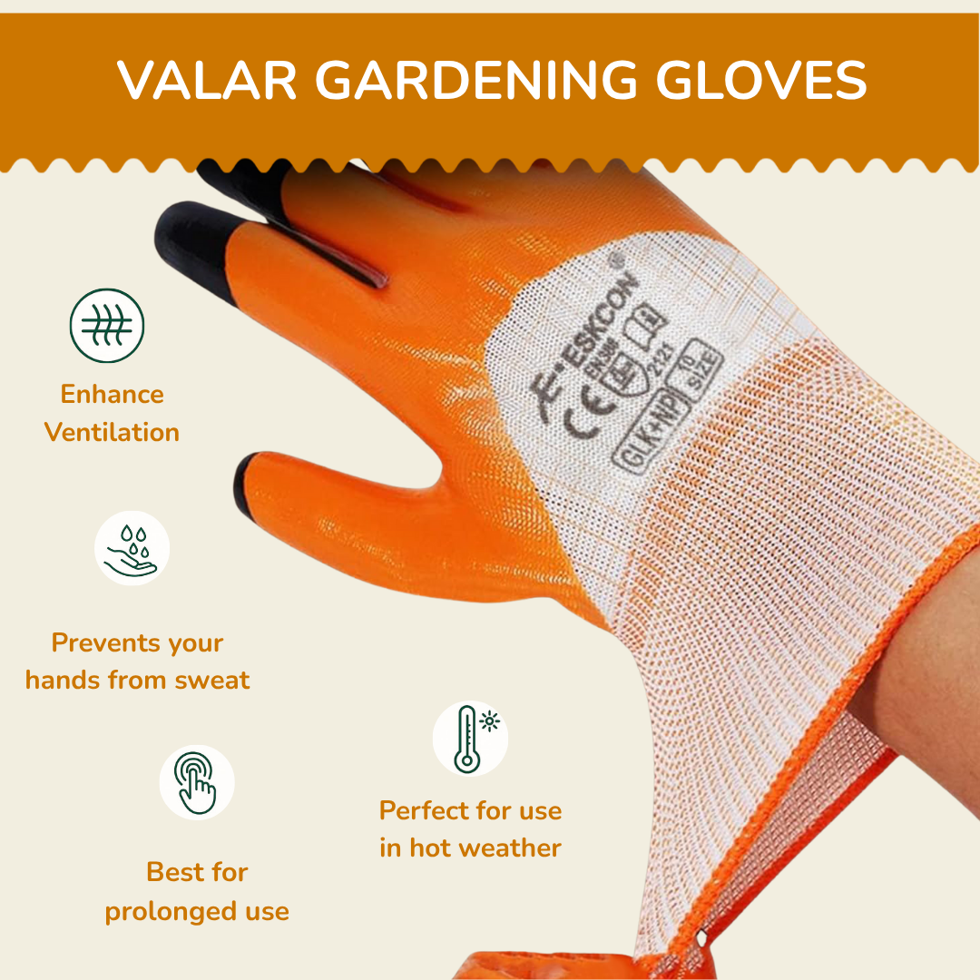 Garden Latex Gloves – Protect Your Hands While You Garden! 🌿