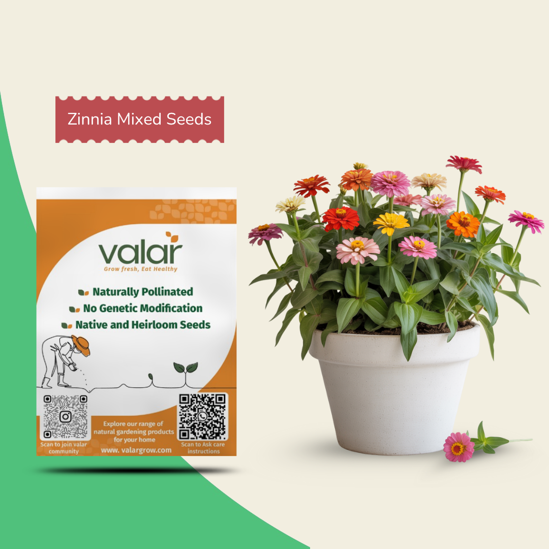 Organic Zinnia Mixed Seeds