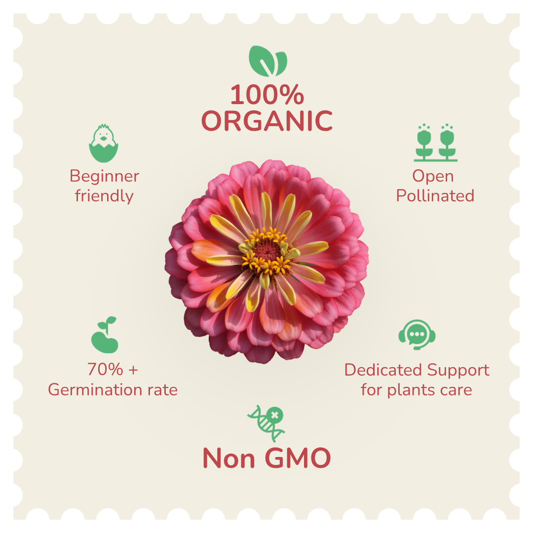 Organic Zinnia Mixed Seeds