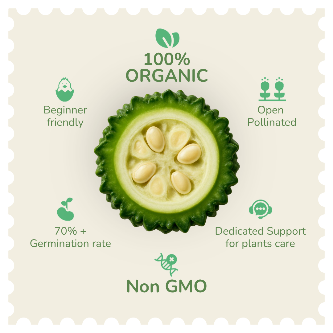 Organic Bitter Gourd Seeds