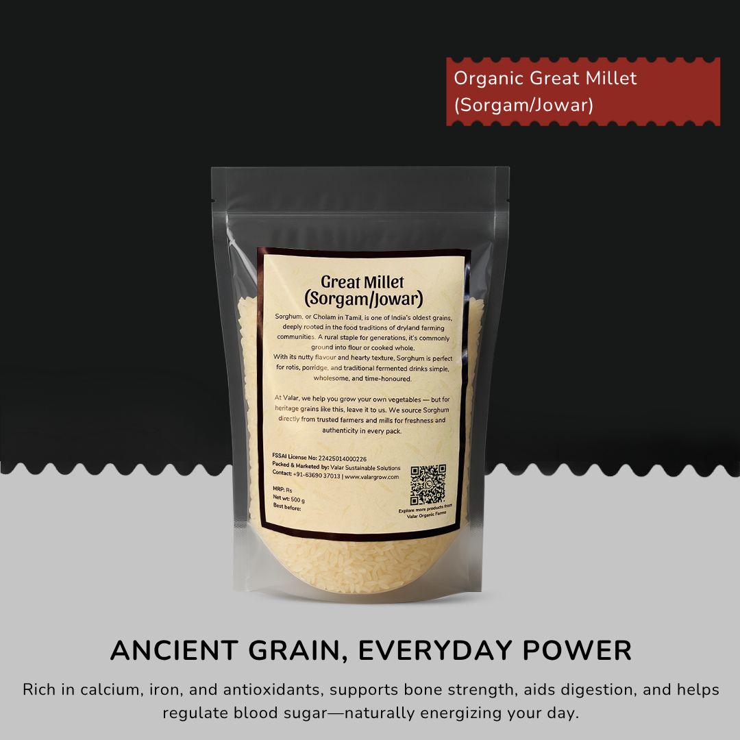 🌾 Valar Cholam (Sorghum) – 500g | Ancient Whole Grain | High-Fiber, Gluten-Free, Iron-Rich Super Millet