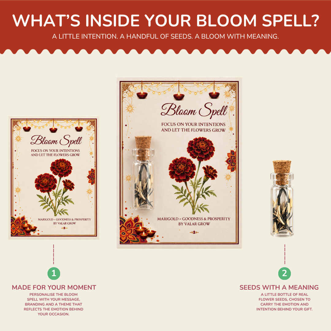 Marigold Bloom Spell Seed Kit | Eco-Friendly Corporate & Event Gifting Kit | Customisable