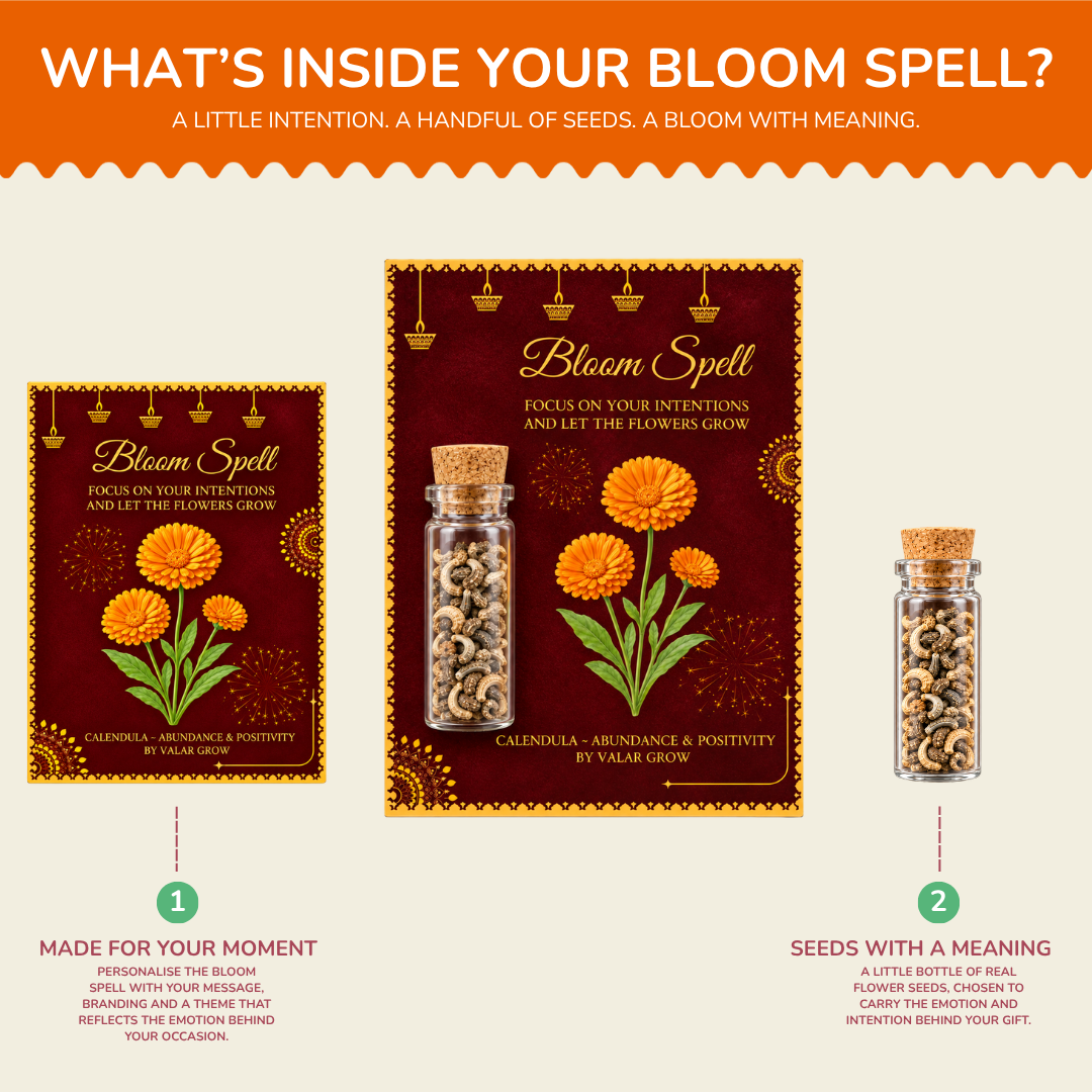 Calendula Bloom Spell Seed Kit | Eco-Friendly Corporate & Event Gifting Kit | Customisable