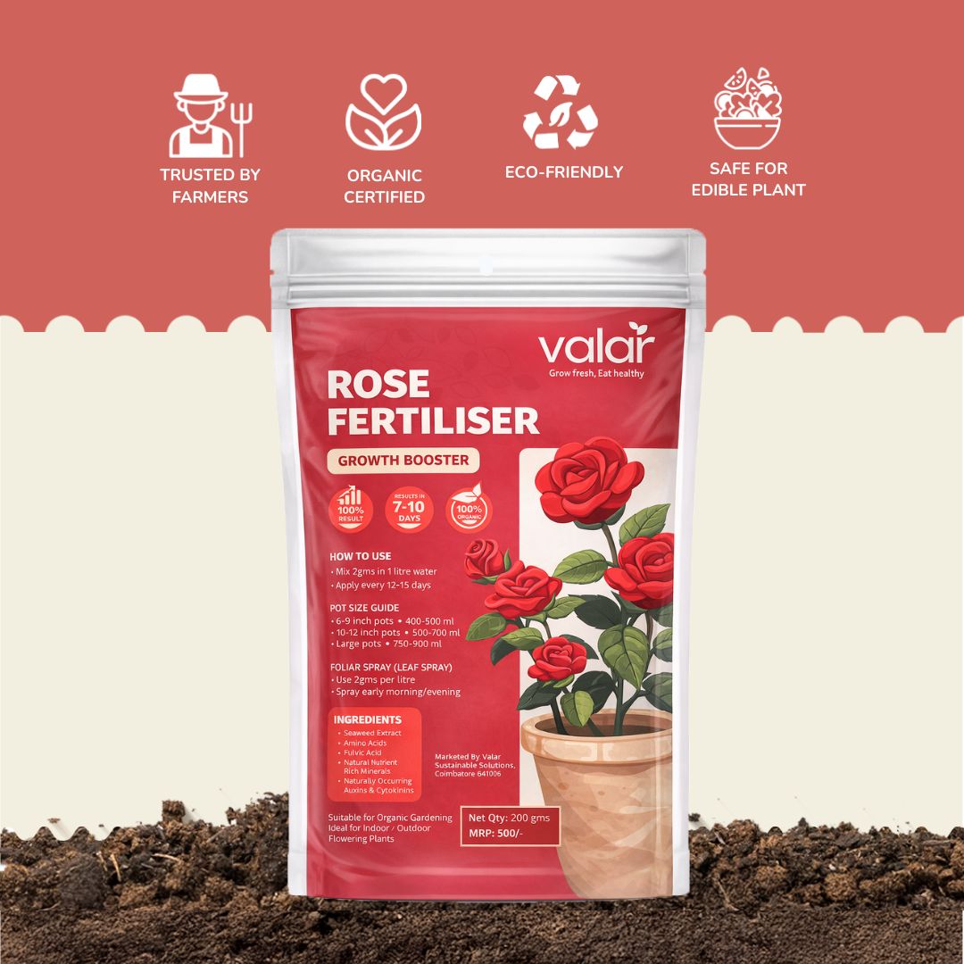 Organic Rose Fertilizer