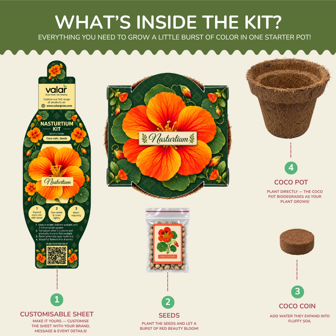 Nastrutium Seed Germination Kit | Eco-Friendly Corporate & Event Gifting Kit | Customisable