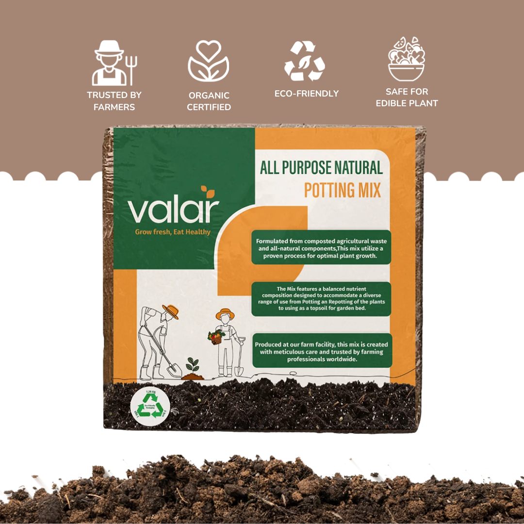 All Purpose Natural Potting Soil 5 Litres | 1 Kg makes 4 Kg