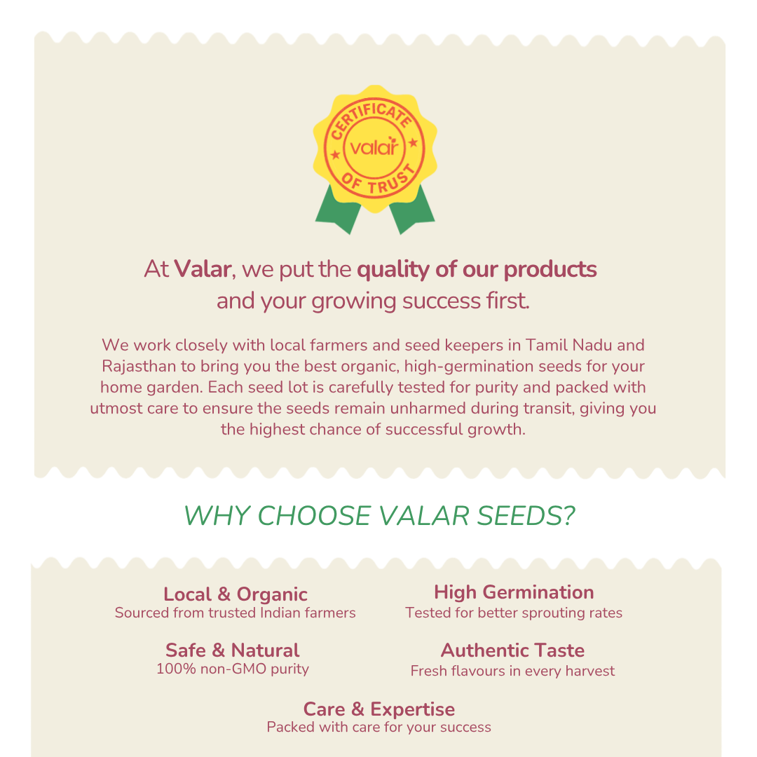 Balsam Tom Thumb Seeds