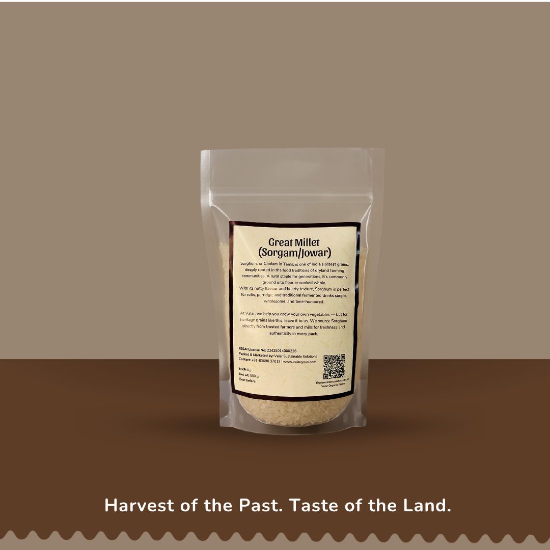 🌾 Valar Cholam (Sorghum) – 500g | Ancient Whole Grain | High-Fiber, Gluten-Free, Iron-Rich Super Millet