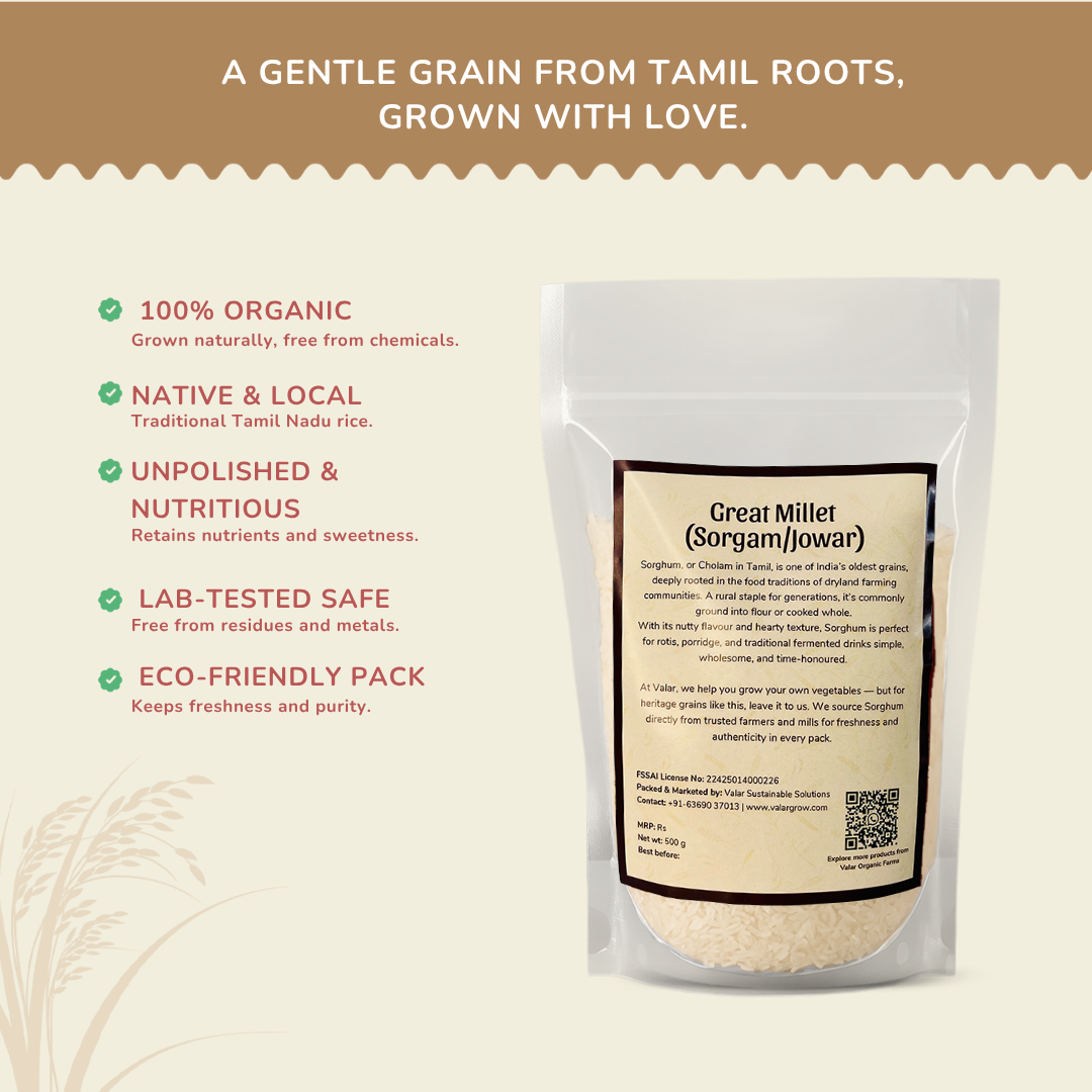 🌾 Valar Cholam (Sorghum) – 500g | Ancient Whole Grain | High-Fiber, Gluten-Free, Iron-Rich Super Millet
