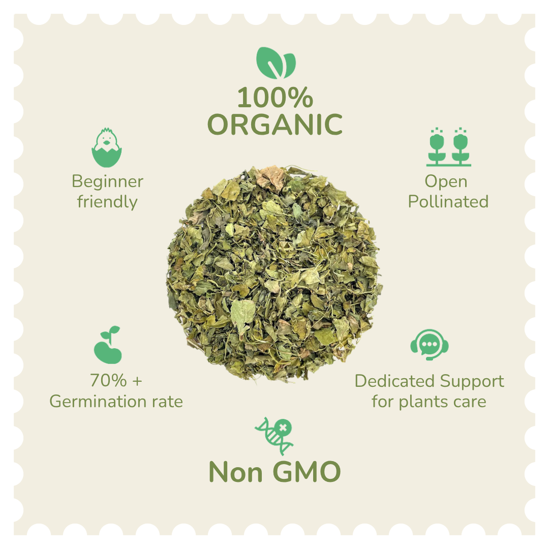 Organic Methi Seeds (Fenugreek)
