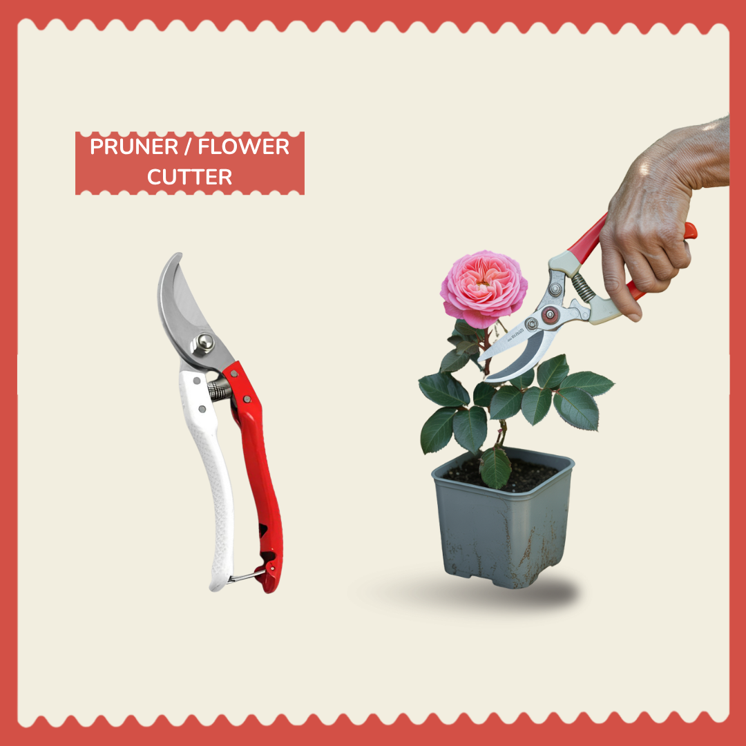 ✂️ SS White/Red Flower Cutter (Pruner) – Precision Cutting for Healthy Plan 🌿