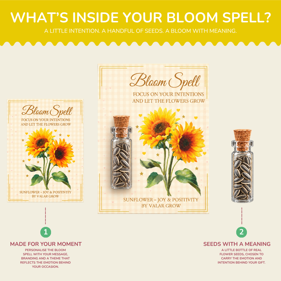 Sunflower Bloom Spell Seed Kit | Eco-Friendly Corporate & Event Gifting Kit | Customisable