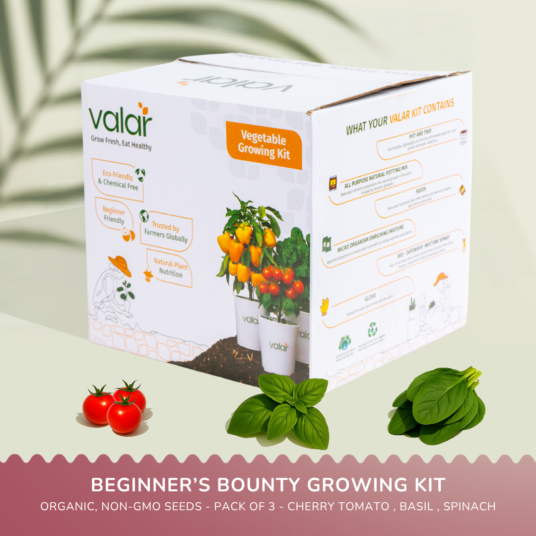 🌿 The Beginner's Bounty Kit