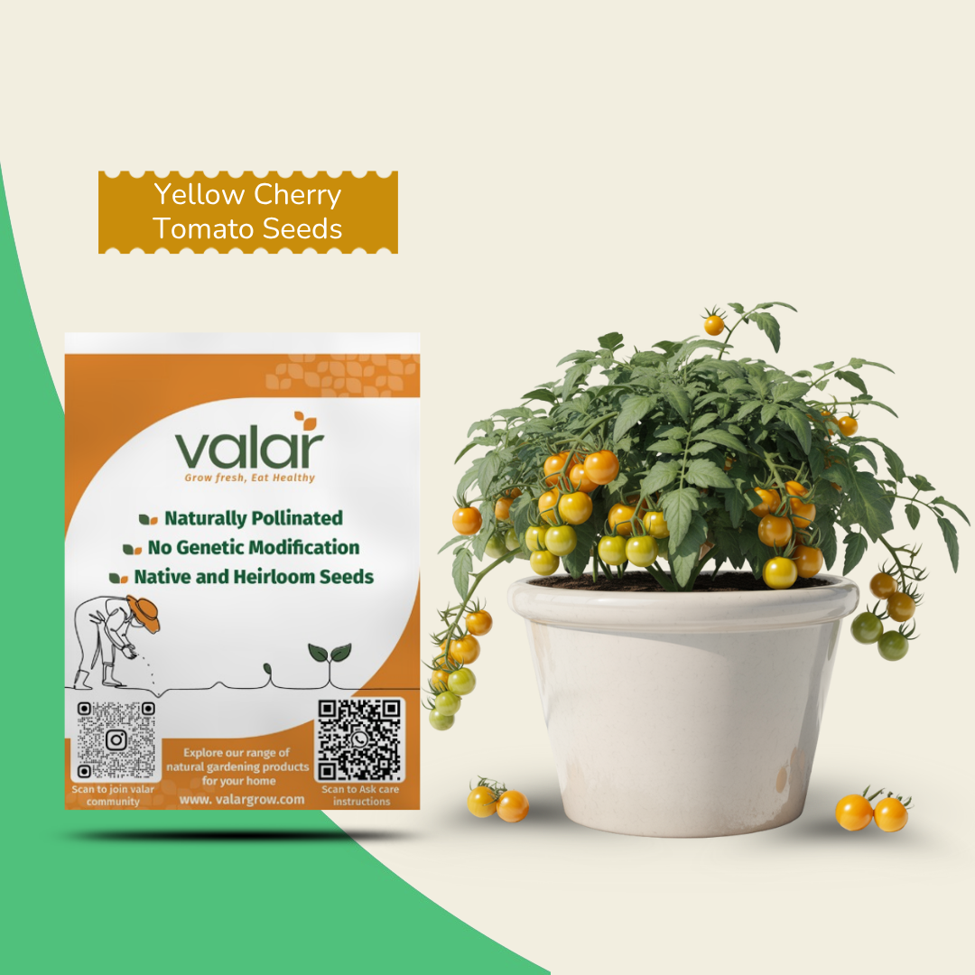 Organic Yellow Cherry Tomato Seeds