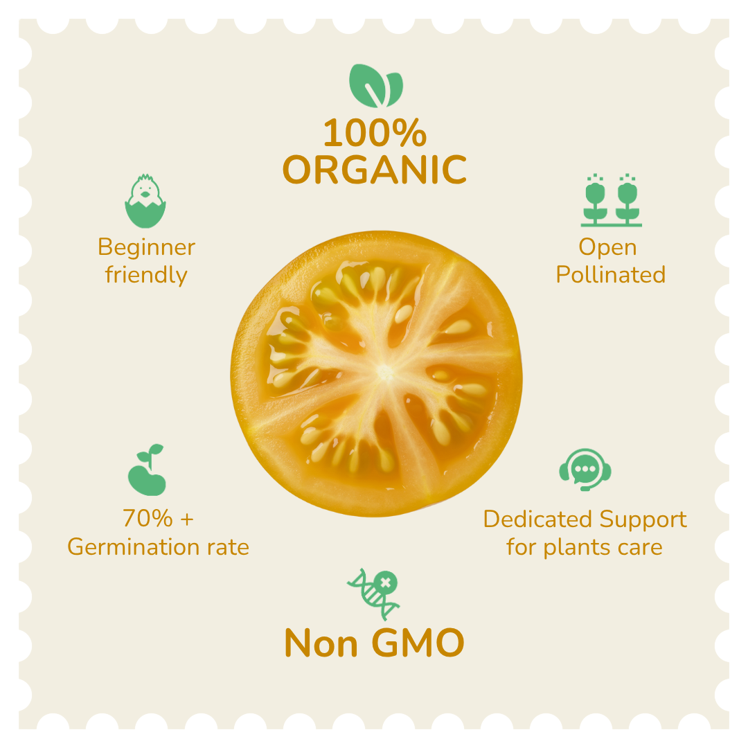 Organic Yellow Cherry Tomato Seeds