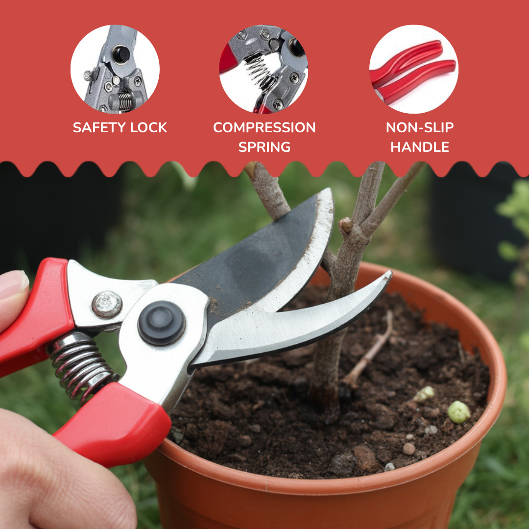 ✂️ SS White/Red Flower Cutter (Pruner) – Precision Cutting for Healthy Plan 🌿