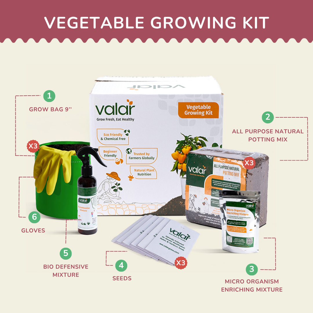 🌿 The Beginner's Bounty Kit