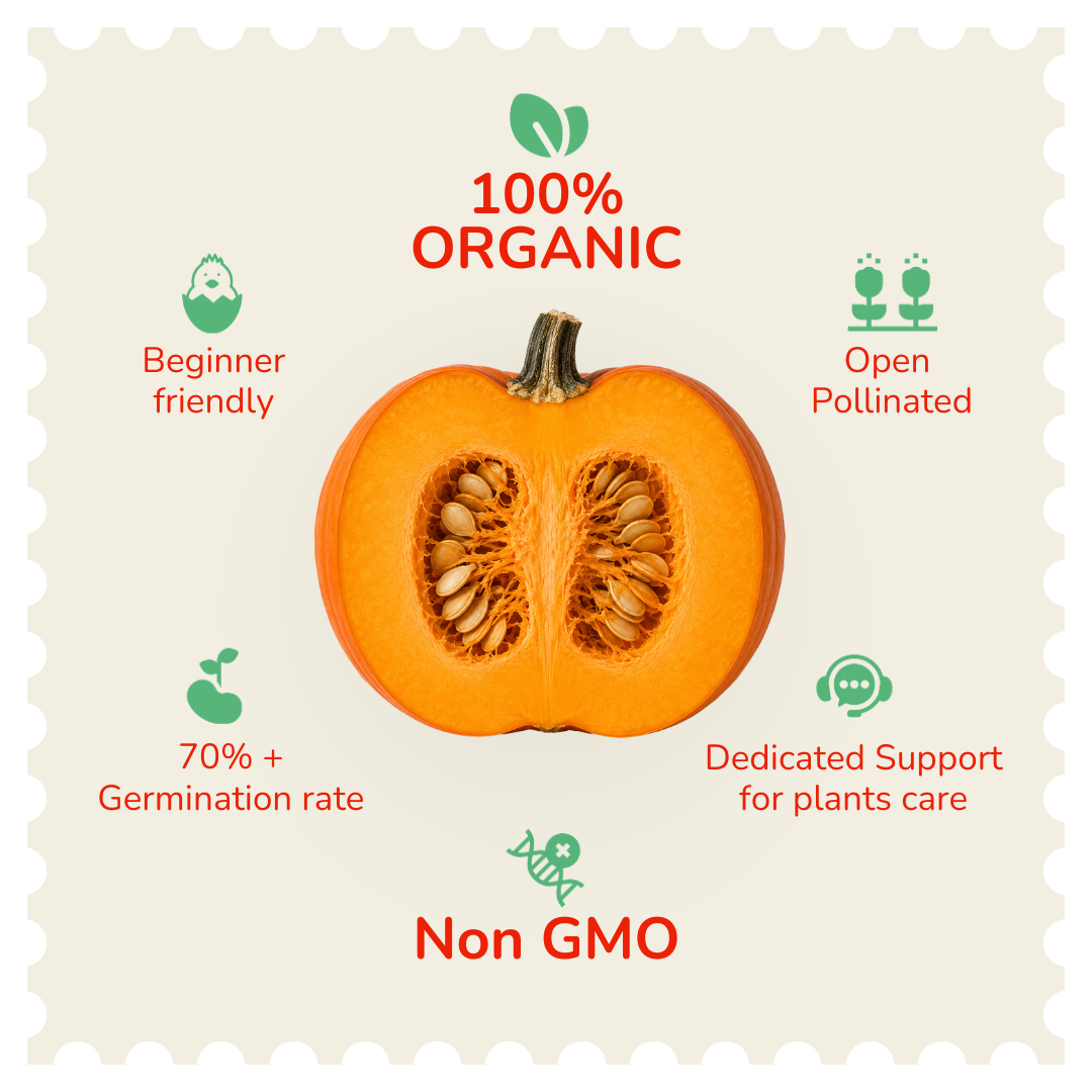 Organic Halloween Pumpkin Seeds