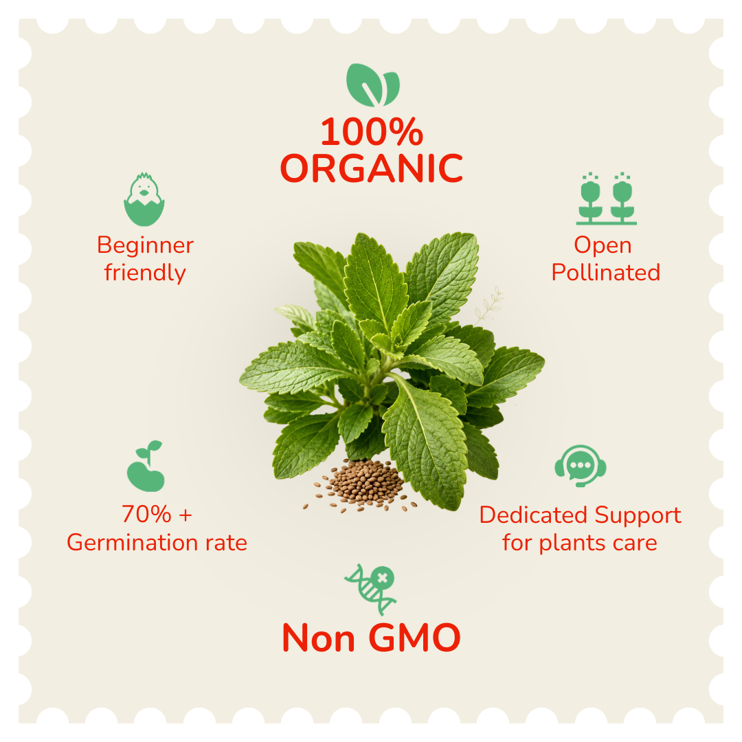 Organic Stevia Seeds