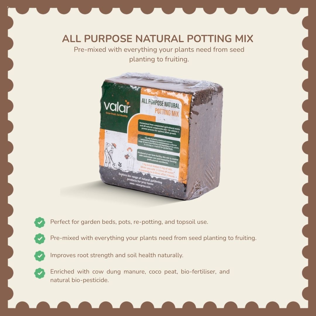 New Garden Set up Essentials Bundle