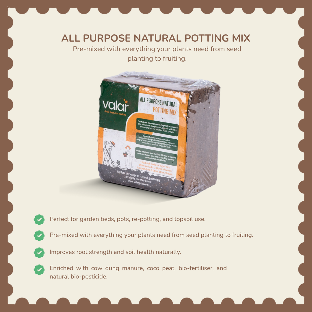All Purpose Natural Potting Soil 5 Litres | 1 Kg makes 4 Kg