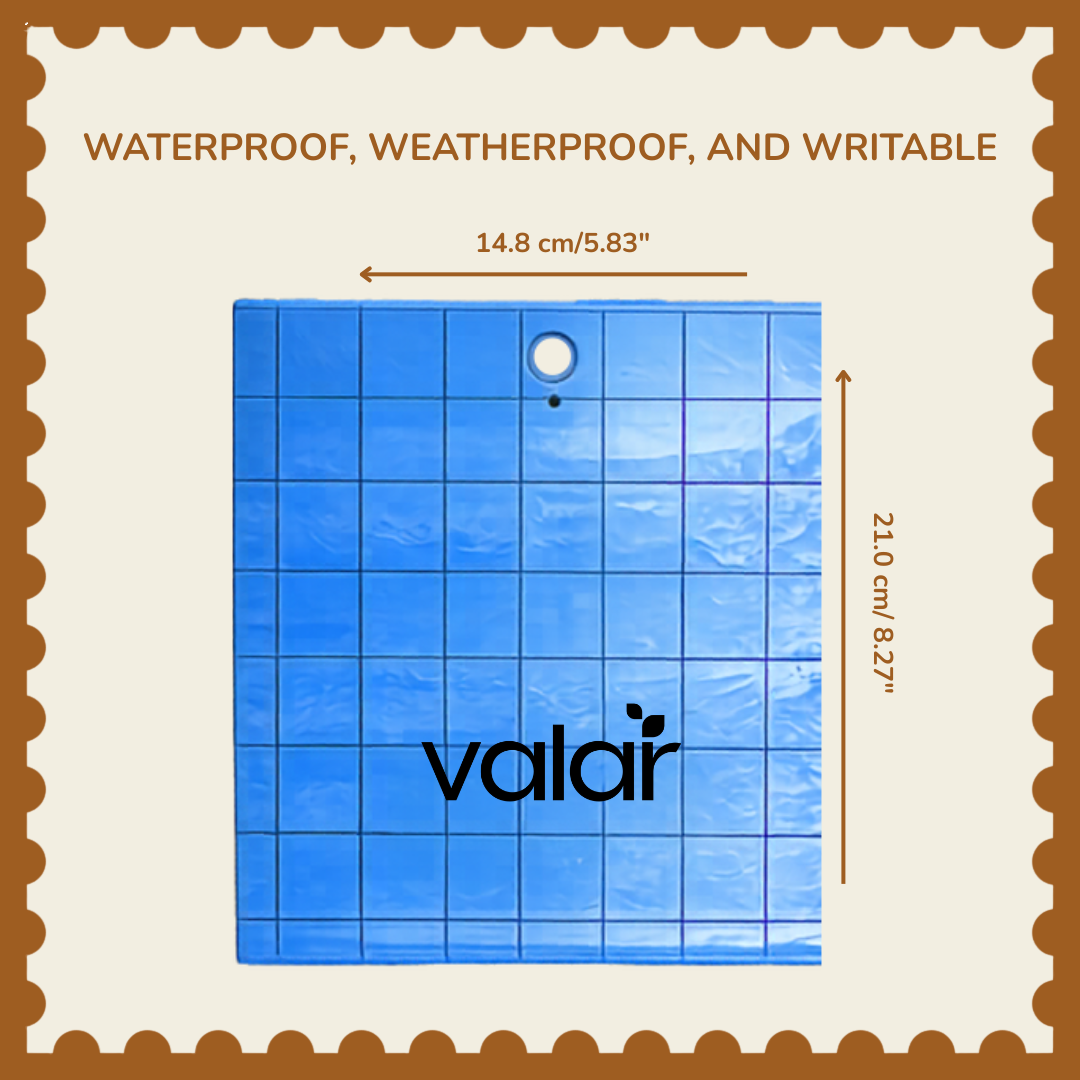 Pheromone Sticky Traps (Safe for good bugs)
