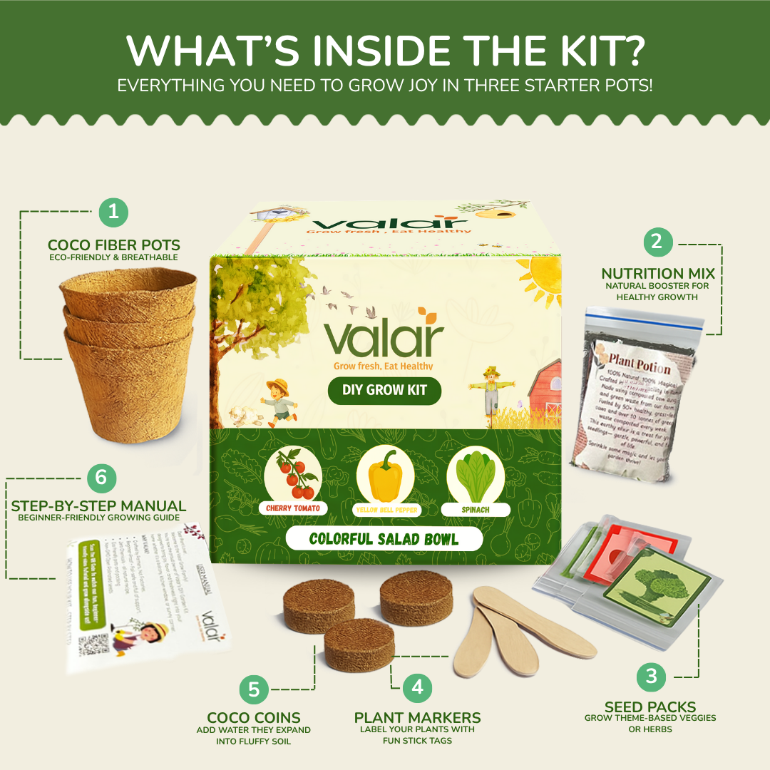 The  Colorful Salad Bowl Gift Kit