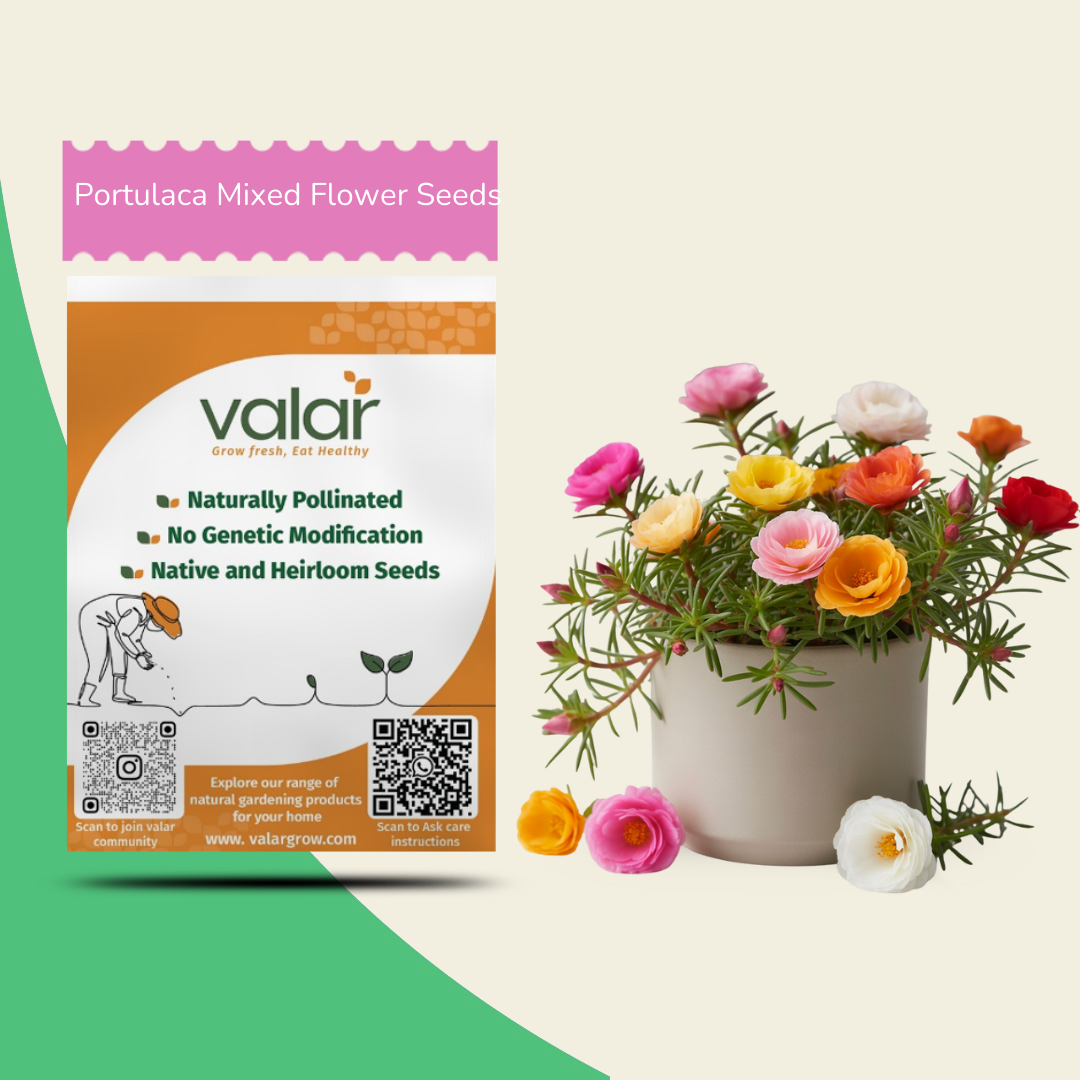 Portulaca Mixed Flower Seeds