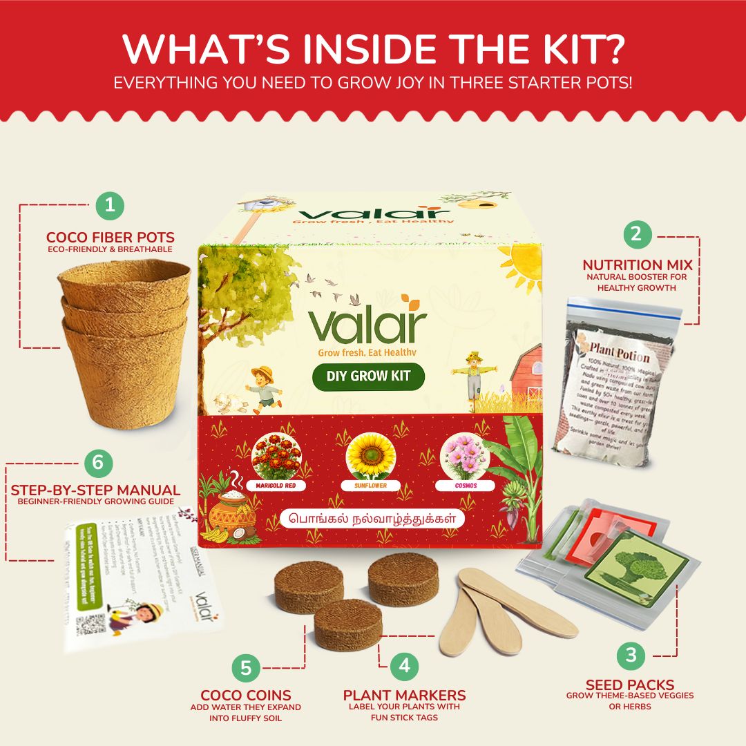 DIY Pongal Celebration Kit