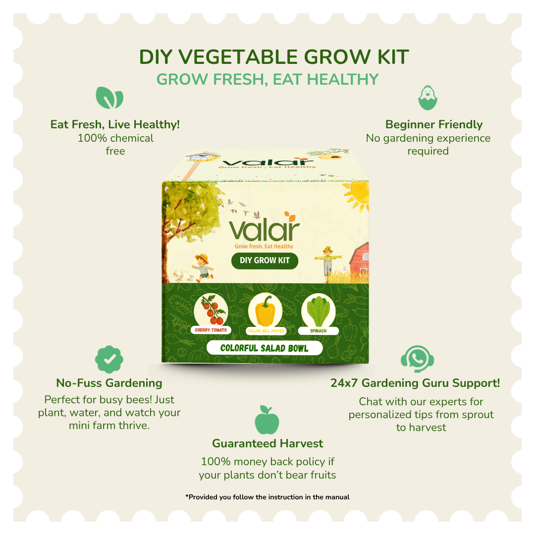 The  Colorful Salad Bowl Gift Kit